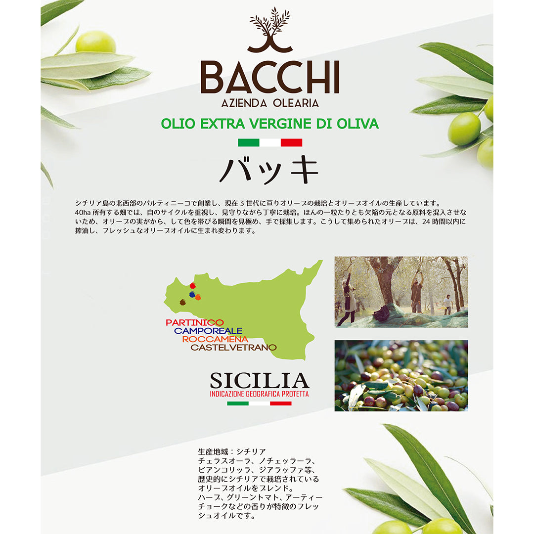 【メモス・いずみピクルスコラボセット】水なすピクルスのペペロンチーノセット(箱付き)