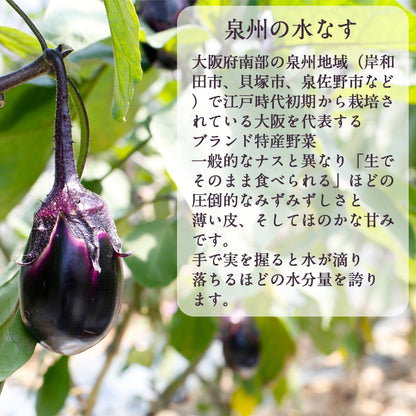 【冷蔵配送・送料込み】訳あり・泉州水なす10個とピクルスの素５パックセット【他商品同梱不可】
