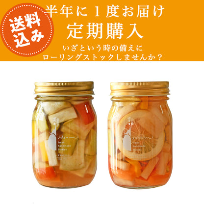 【半年に１回定期購入】【防災】ローリングストックピクルス(水なすmix和風) ＆（水なすmix洋風）