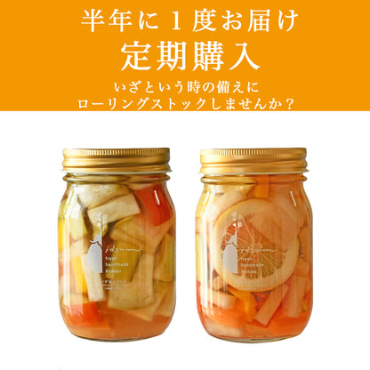 【半年に１回定期購入】【防災】ローリングストックピクルス(水なすmix和風) ＆（水なすmix洋風）