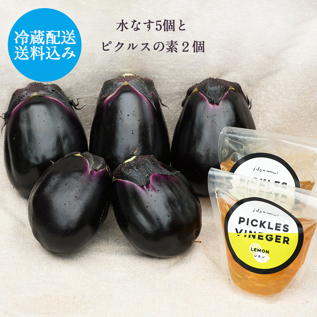 お試し５つ！【冷蔵配送・送料込み】訳あり・泉州水なす5個とピクルスの素２パックセット【他商品同梱不可】